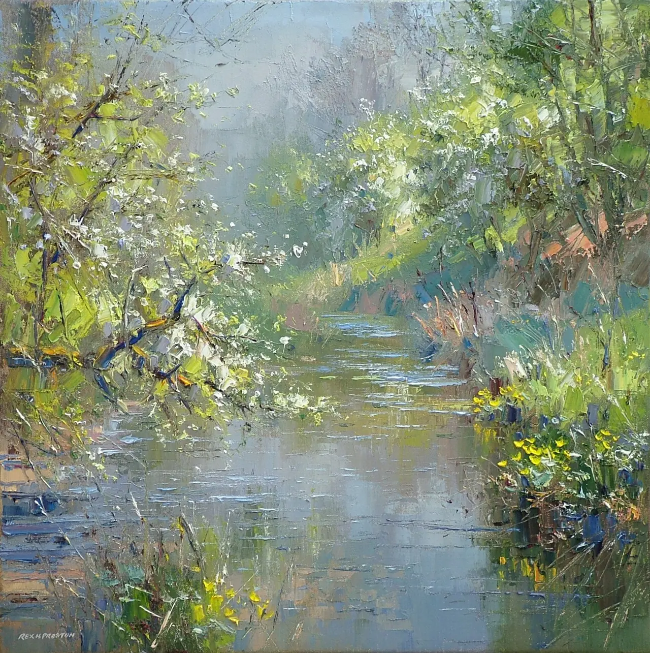 Rex Preston - mayblossom, monk's dale